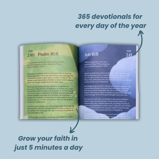 A Beautiful Year with Jesus: The 365 Day Bible Devotional